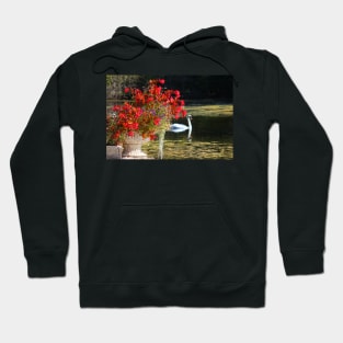 Swan And Flowers Hoodie